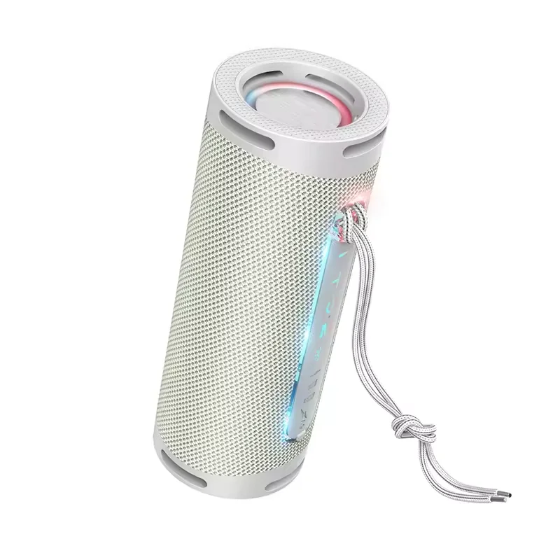 HC9 SPEAKER SPORT GRIS